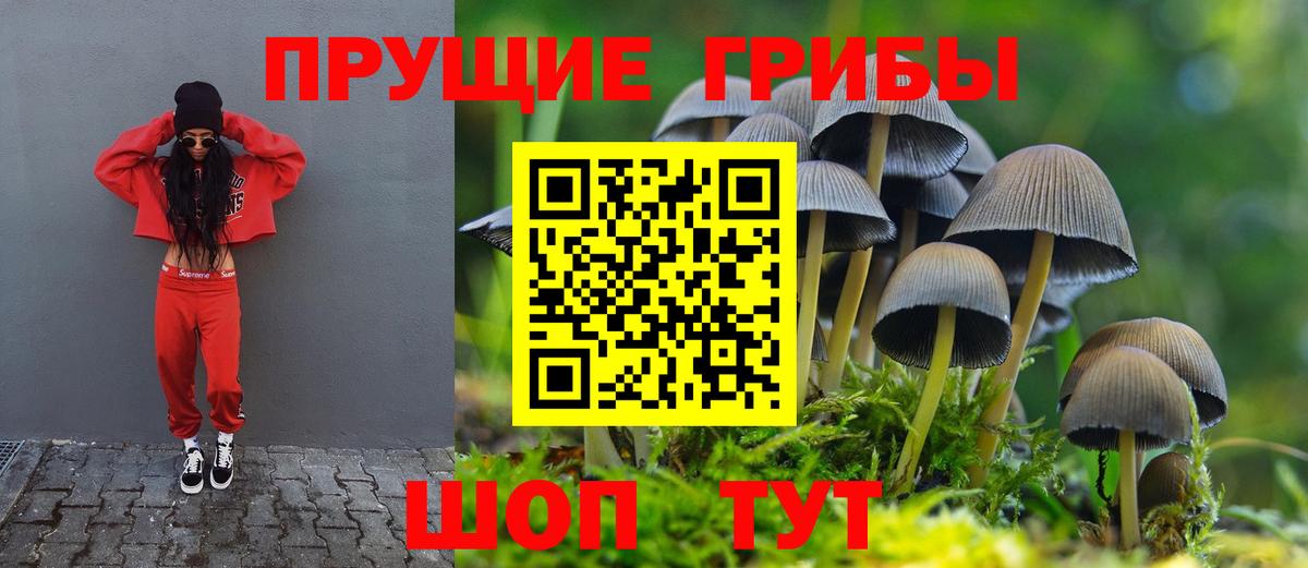 Кизилюрт  Псилоцибиновые грибы Cubensis  Галлюциногенные грибы ЛСД  Вход с VPN 