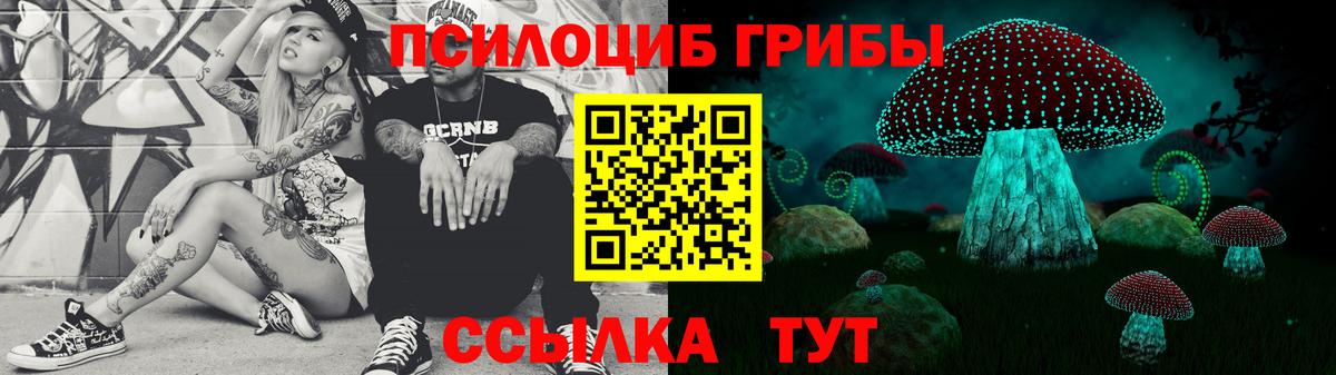 Псилоцибиновые грибы GOLDEN TEACHER Кизилюрт